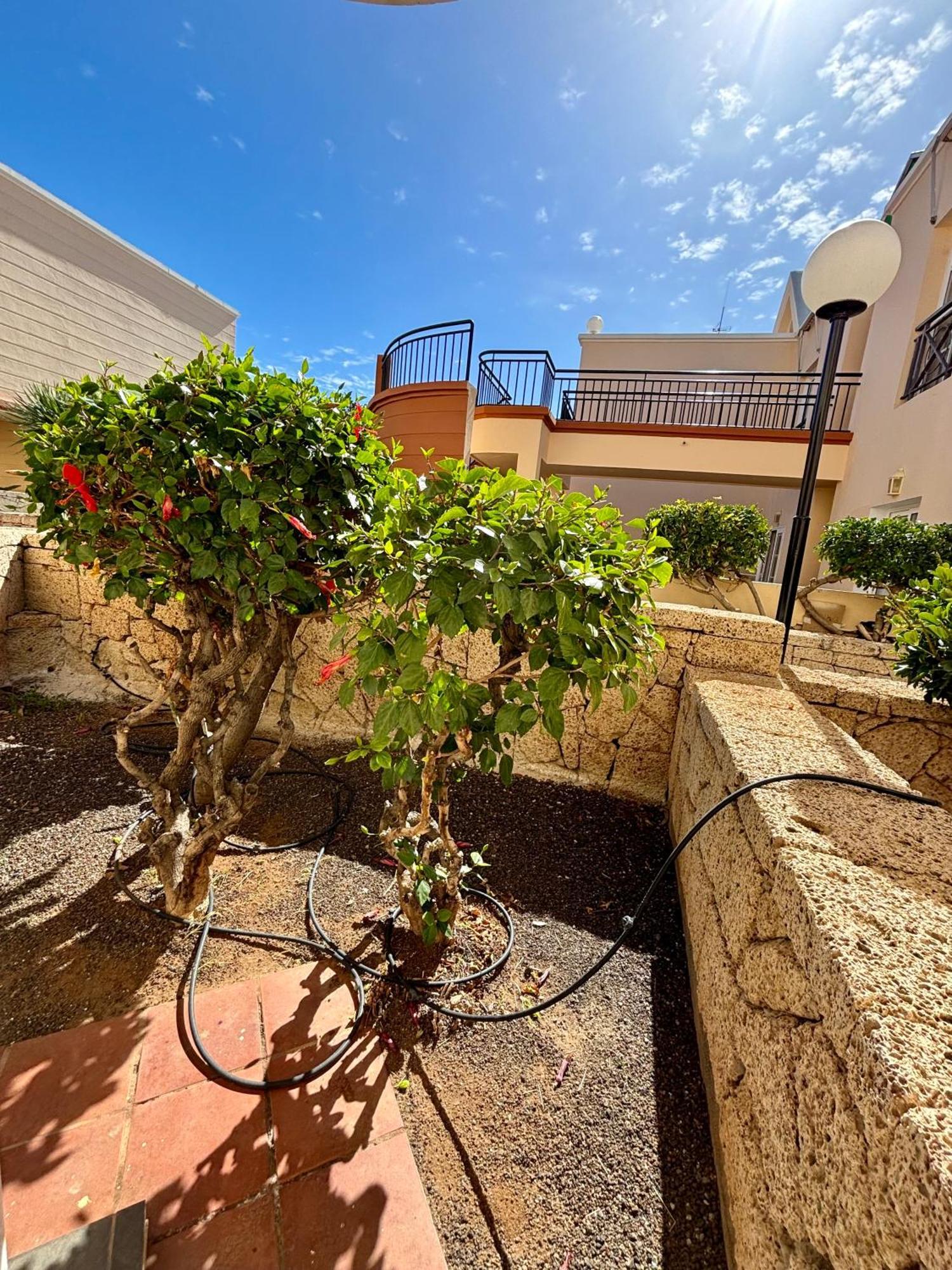 Apartment Clara Fanabe Costa Adeje  Exteriör bild